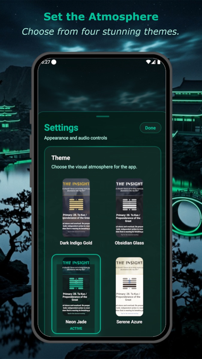 Settings screen showing selectable visual themes for the app.